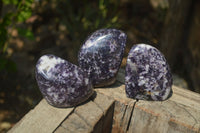 Polished Lepidolite Standing Free Forms x 3 From Zimbabwe