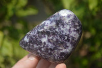 Polished Lepidolite Standing Free Forms x 3 From Zimbabwe