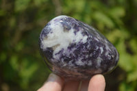 Polished Lepidolite Standing Free Forms x 3 From Zimbabwe