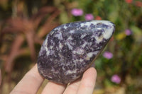 Polished Lepidolite Standing Free Forms x 3 From Zimbabwe