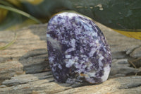 Polished Lepidolite Standing Free Forms x 3 From Zimbabwe