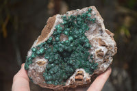 Natural Ball Malachite On Quartz Matrix Specimen x 1 From Kambove, Congo