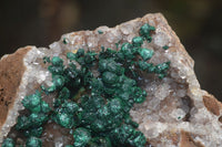 Natural Ball Malachite On Quartz Matrix Specimen x 1 From Kambove, Congo