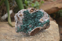 Natural Ball Malachite On Quartz Matrix Specimen x 1 From Kambove, Congo