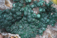 Natural Ball Malachite On Quartz Matrix Specimen x 1 From Kambove, Congo