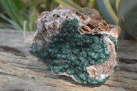 Natural Ball Malachite On Quartz Matrix Specimen x 1 From Kambove, Congo