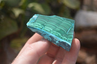 Polished Malacolla Slices x 12 From Kalukundi Mine, Congo