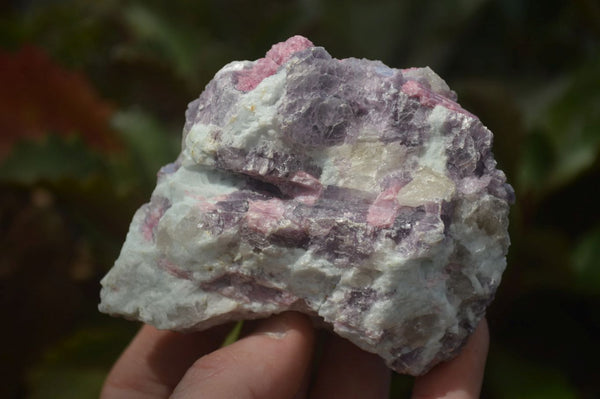 Natural Rubellite Pink Tourmaline Matrix Specimens x 6 From Namibia