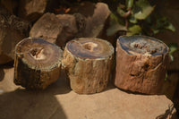 Polished Petrified Wood Branch Pieces x 3 From Gokwe, Zimbabwe