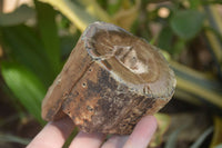 Polished Petrified Wood Branch Pieces x 3 From Gokwe, Zimbabwe