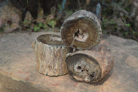 Polished Petrified Wood Branch Pieces x 3 From Gokwe, Zimbabwe