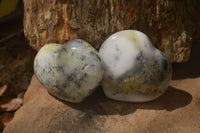 Polished Dendritic Opal Hearts x 12 From Moralambo, Madagascar