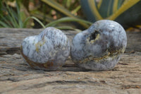 Polished Dendritic Opal Hearts x 12 From Moralambo, Madagascar