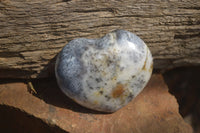 Polished Dendritic Opal Hearts x 12 From Moralambo, Madagascar