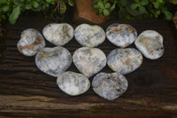 Polished Dendritic Opal Hearts x 12 From Moralambo, Madagascar