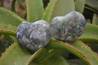 Polished Dendritic Opal Hearts x 12 From Moralambo, Madagascar