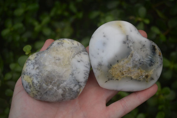 Polished Dendritic Opal Hearts x 12 From Moralambo, Madagascar