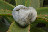 Polished Dendritic Opal Hearts x 12 From Moralambo, Madagascar