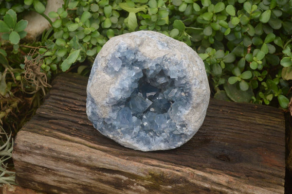 Natural Celestite Geode Specimen x 1 From Sakoany, Madagascar