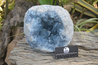 Natural Celestite Geode Specimen x 1 From Sakoany, Madagascar