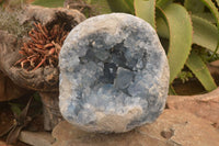 Natural Celestite Geode Specimen x 1 From Sakoany, Madagascar