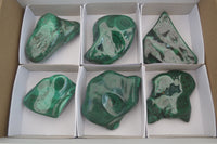 Polished Flower Banded Malachite Free Forms x 6 From Congo