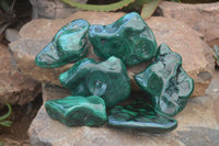 Polished Flower Banded Malachite Free Forms x 6 From Congo