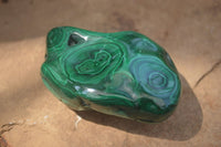 Polished Flower Banded Malachite Free Forms x 6 From Congo