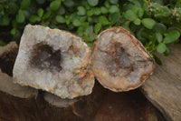 Natural Zululand Amethyst Agate Geodes x 6 from Jozini, South Africa