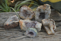 Natural Zululand Amethyst Agate Geodes x 6 from Jozini, South Africa