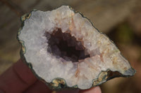 Natural Zululand Amethyst Agate Geodes x 6 from Jozini, South Africa