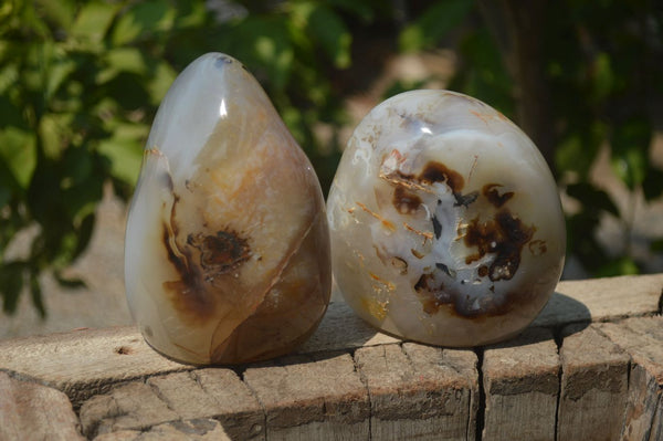 Polished Dendritic Agate Standing Free Forms x 2 From Madagascar