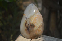 Polished Dendritic Agate Standing Free Forms x 2 From Madagascar