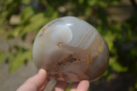 Polished Dendritic Agate Standing Free Forms x 2 From Madagascar