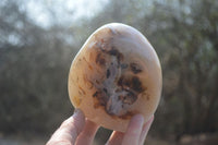 Polished Dendritic Agate Standing Free Forms x 2 From Madagascar