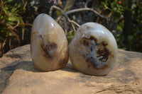 Polished Dendritic Agate Standing Free Forms x 2 From Madagascar