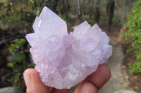 Natural Amethyst Cactus Flower Spirit Quartz Clusters x 12 From South Africa