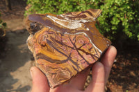 Polished On One Side Nguni Jasper Specimens x 3 From Prieska, South Africa