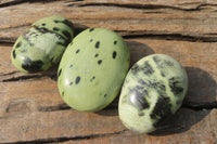 Polished Leopard Stone Palm Stones x 12 From Zimbabwe