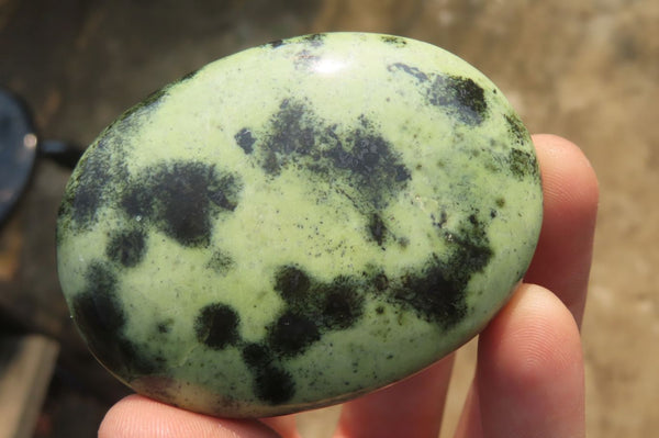 Polished Leopard Stone Palm Stones x 12 From Zimbabwe