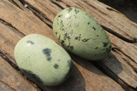 Polished Leopard Stone Palm Stones x 12 From Zimbabwe