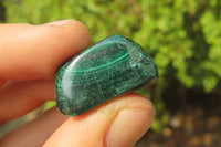 Polished Flower Banded Malachite Free Forms x 35 From Congo