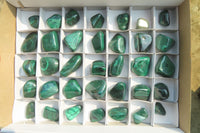 Polished Flower Banded Malachite Free Forms x 35 From Congo