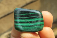 Polished Flower Banded Malachite Free Forms x 35 From Congo