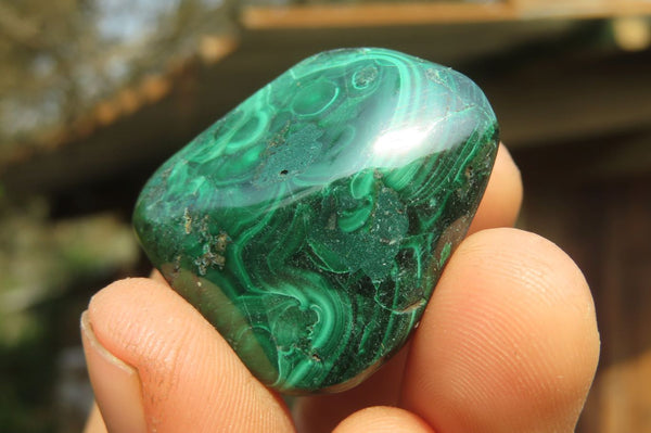 Polished Flower Banded Malachite Free Forms x 35 From Congo