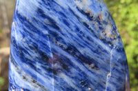 Polished Sodalite Standing Free Forms x 5 From Kunene River, Namibia