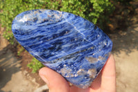 Polished Sodalite Standing Free Forms x 5 From Kunene River, Namibia