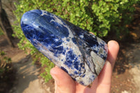 Polished Sodalite Standing Free Forms x 5 From Kunene River, Namibia