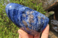 Polished Sodalite Standing Free Forms x 5 From Kunene River, Namibia