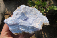 Natural Crystalline Blue Lace Agate Plates x 2 From Namibia